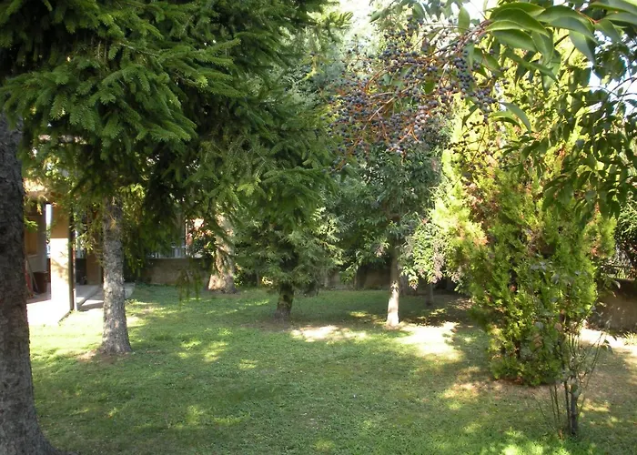 Del Maestro Silvi Paese